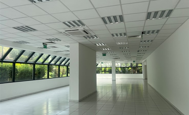 lokal na wynajem - Sosnowiec , Legionów Polskich